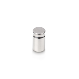 Individual weight, OIML Class E2, 10 g, Compact form, stainless steel polished