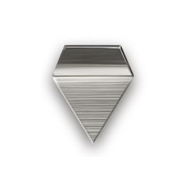 Milligram weights, E2, 10 mg, Platelet, stainless steel polished