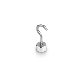 Individual weight, OIML Class M1, 1 g, Hook weight, stainless steel fine turned